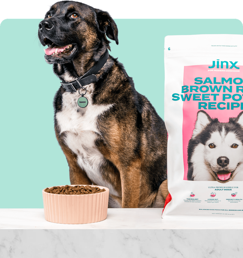 Jinx dog food