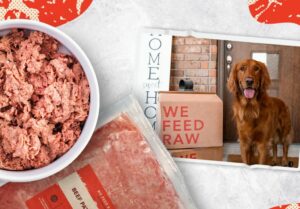 we feed raw pop