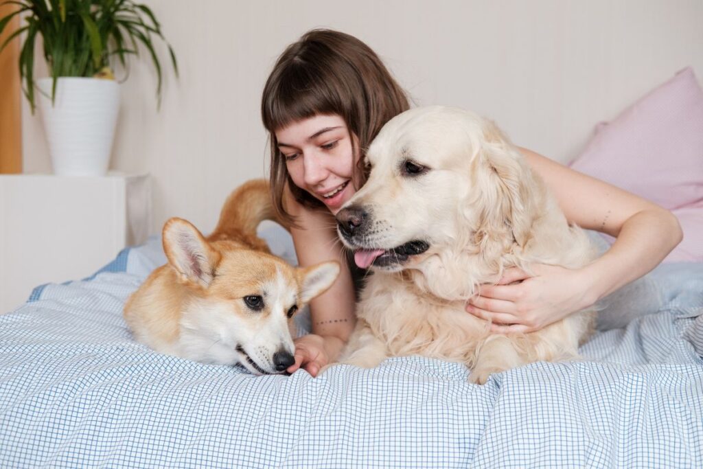 The Farmer’s Dog: Unpacking the Best Pet Subscription Box of 2025 Hero