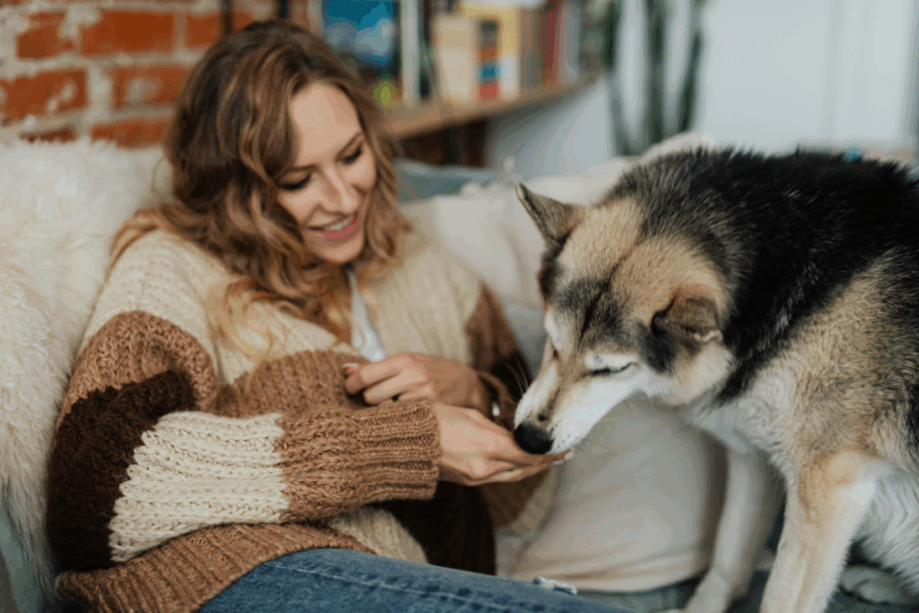TFD Article The Hidden Truth About Dog Treats