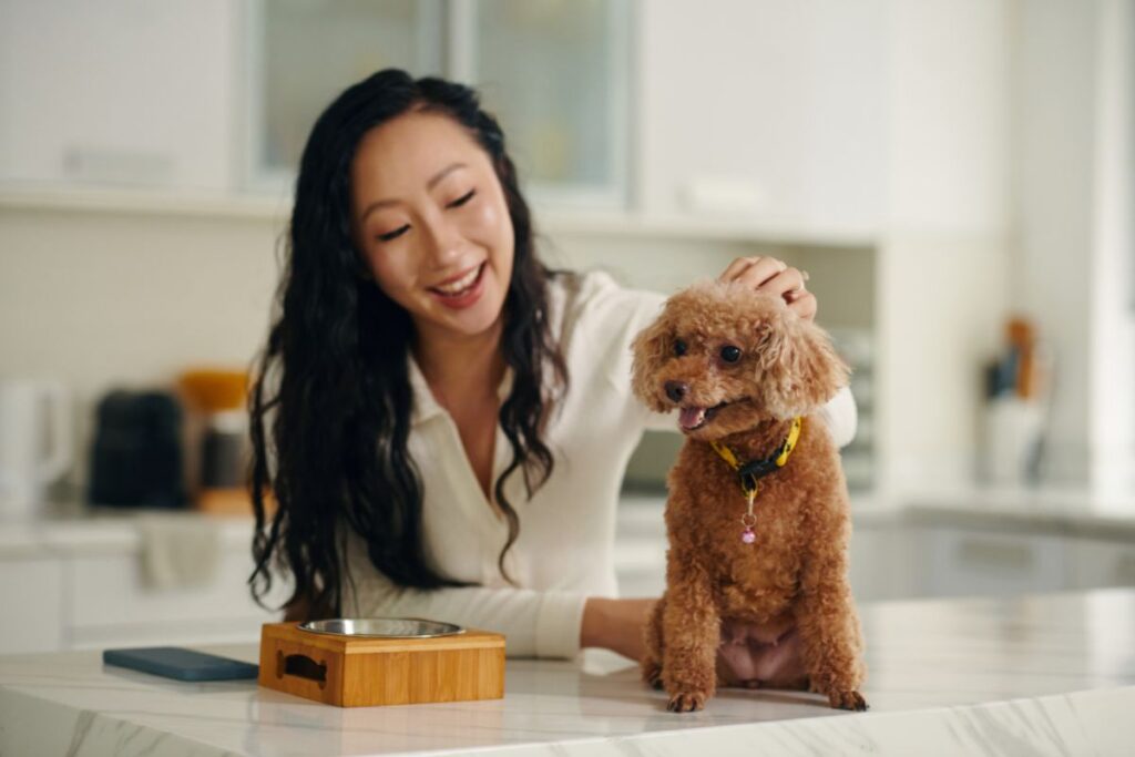 Dog Food: Misinformation vs. What Matters Hero