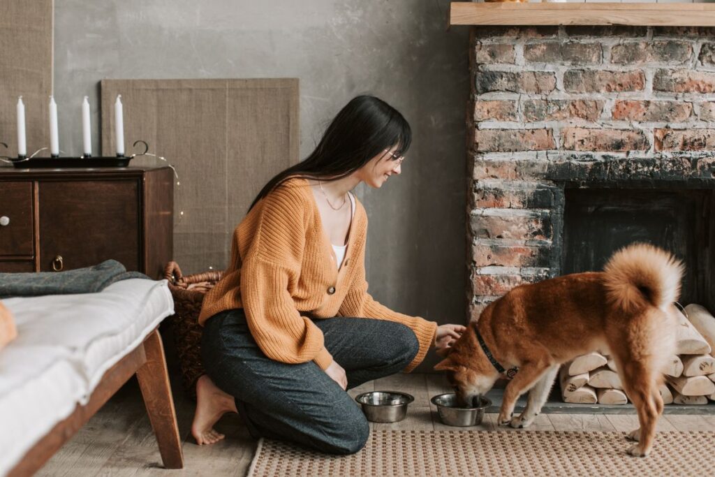 Human Grade Dog Food Hero