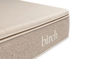 Birch Hero