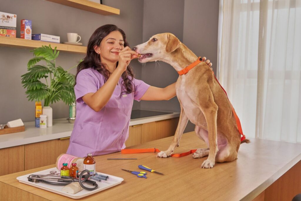Article   TFD Do Vets Recommend