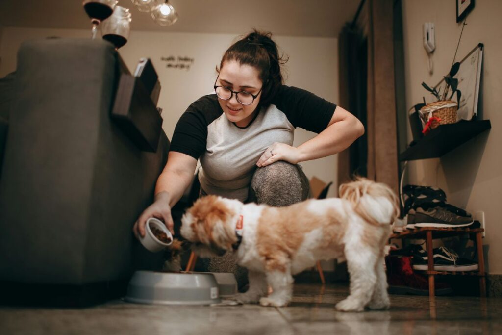 Article   TFD Healthiest Dog Food