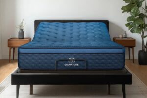 Brooklyn Bedding Adjustable Bed Hero