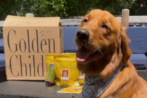 Golden Child Hero